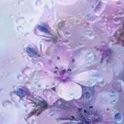 ヒメ日記 2025/03/26 14:50 投稿 さえ【高山出発】 Cat's高山店