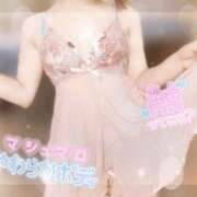 ヒメ日記 2025/04/01 18:00 投稿 さえ【高山出発】 Cat's高山店