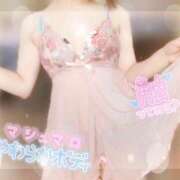 ヒメ日記 2025/04/16 13:50 投稿 さえ【高山出発】 Cat's高山店