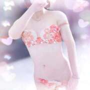 ヒメ日記 2025/04/17 09:50 投稿 さえ【高山出発】 Cat's高山店