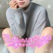 ヒメ日記 2025/04/17 13:50 投稿 さえ【高山出発】 Cat's高山店