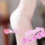 ヒメ日記 2025/04/23 18:50 投稿 さえ【高山出発】 Cat's高山店