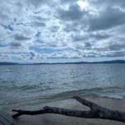 ヒメ日記 2025/04/29 12:00 投稿 さえ【高山出発】 Cat's高山店