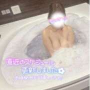 ヒメ日記 2025/03/28 15:36 投稿 ゆま 奥様メモリアル