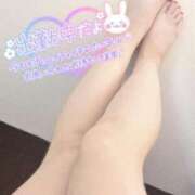 ヒメ日記 2025/03/31 12:36 投稿 ゆま 奥様メモリアル