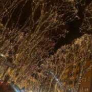 ヒメ日記 2025/12/10 11:36 投稿 ゆま 奥様メモリアル