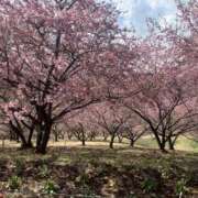 ヒメ日記 2025/03/20 08:54 投稿 心春（こはる） 人妻恋愛サークル