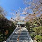 ヒメ日記 2025/04/06 07:14 投稿 心春（こはる） 人妻恋愛サークル