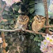 ヒメ日記 2025/07/04 08:20 投稿 心春（こはる） 人妻恋愛サークル