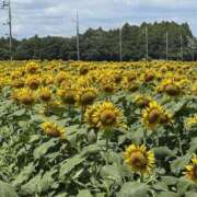 ヒメ日記 2025/08/24 07:30 投稿 心春（こはる） 人妻恋愛サークル