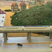 ヒメ日記 2025/10/23 07:40 投稿 心春（こはる） 人妻恋愛サークル