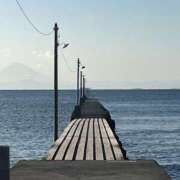 心春（こはる） 特等席 人妻恋愛サークル