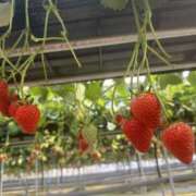 ヒメ日記 2026/02/15 08:00 投稿 心春（こはる） 人妻恋愛サークル