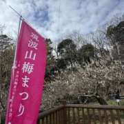 ヒメ日記 2026/03/08 08:00 投稿 心春（こはる） 人妻恋愛サークル