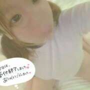 ヒメ日記 2024/12/23 00:20 投稿 くらげ 新宿サンキュー