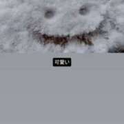 ヒメ日記 2025/02/08 07:20 投稿 くらげ 新宿サンキュー