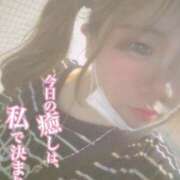 ヒメ日記 2025/02/11 04:50 投稿 くらげ 新宿サンキュー