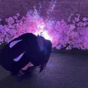 ヒメ日記 2025/04/14 14:50 投稿 くらげ 新宿サンキュー