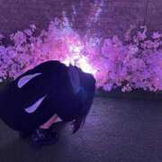 ヒメ日記 2025/05/26 02:20 投稿 くらげ 新宿サンキュー