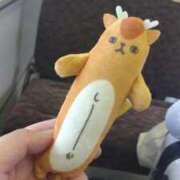 ヒメ日記 2025/06/23 00:00 投稿 くらげ 新宿サンキュー