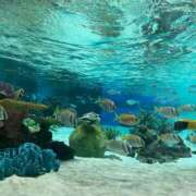 ヒメ日記 2025/07/09 10:30 投稿 なぎさ ぽちゃSPA