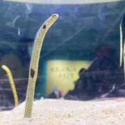 ヒメ日記 2025/12/12 08:01 投稿 なぎさ ぽちゃSPA