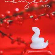 ヒメ日記 2025/01/02 18:24 投稿 のあ 茨城ちゃんこ土浦つくば店
