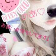 ヒメ日記 2025/01/19 14:04 投稿 のあ 茨城ちゃんこ土浦つくば店