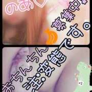 ヒメ日記 2025/04/14 09:30 投稿 のあ 茨城ちゃんこ土浦つくば店