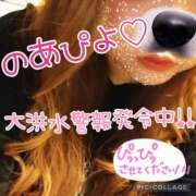 ヒメ日記 2025/04/25 08:01 投稿 のあ 茨城ちゃんこ土浦つくば店