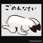 ヒメ日記 2025/05/01 10:48 投稿 のあ 茨城ちゃんこ土浦つくば店