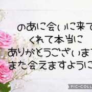 ヒメ日記 2025/05/28 03:10 投稿 のあ 茨城ちゃんこ土浦つくば店
