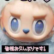 ヒメ日記 2025/10/03 02:37 投稿 のあ 茨城ちゃんこ土浦つくば店