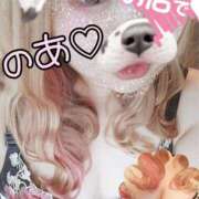 ヒメ日記 2025/10/03 10:35 投稿 のあ 茨城ちゃんこ土浦つくば店