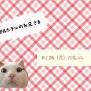 ヒメ日記 2024/08/27 17:12 投稿 ゆいか奥様 金沢の20代30代40代50代が集う人妻倶楽部