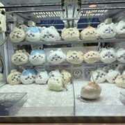 ヒメ日記 2026/09/14 22:27 投稿 ゆめ Fairy Doll(フェアリードール)
