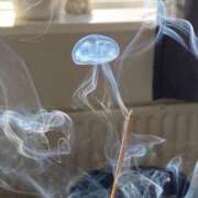 ヒメ日記 2025/03/08 14:29 投稿 みさき ルネッサンス