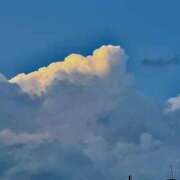 ヒメ日記 2025/05/04 18:46 投稿 みさき ルネッサンス