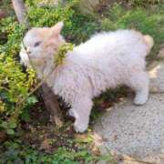 ヒメ日記 2025/06/25 14:55 投稿 みさき ルネッサンス