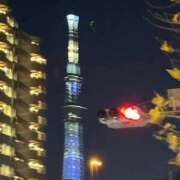 ヒメ日記 2025/06/26 22:09 投稿 みさき ルネッサンス