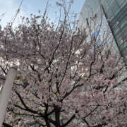 ヒメ日記 2025/03/26 15:25 投稿 あきほ 奥鉄オクテツ東京店（デリヘル市場）