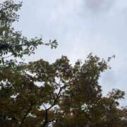 ヒメ日記 2025/10/14 10:30 投稿 あきほ 奥鉄オクテツ東京店（デリヘル市場）