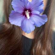 ヒメ日記 2025/11/17 10:00 投稿 あきほ 奥鉄オクテツ東京店（デリヘル市場）