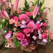 ヒメ日記 2026/02/22 17:03 投稿 マリア ヴィーナス(金津園)