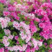 ヒメ日記 2025/05/07 23:51 投稿 もえり 奥様の実話 梅田店