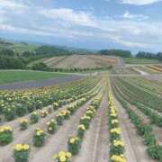 ヒメ日記 2025/07/07 12:04 投稿 もえり 奥様の実話 梅田店