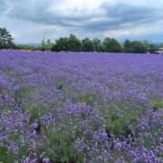 ヒメ日記 2025/07/12 23:30 投稿 もえり 奥様の実話 梅田店