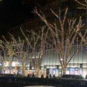 ヒメ日記 2024/12/25 03:00 投稿 ゆうみ チューリップ土浦店