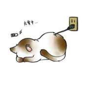 ヒメ日記 2025/11/08 12:18 投稿 ゆうみ チューリップ土浦店