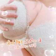 ヒメ日記 2025/06/29 10:08 投稿 なみ 宮城大崎古川ちゃんこ